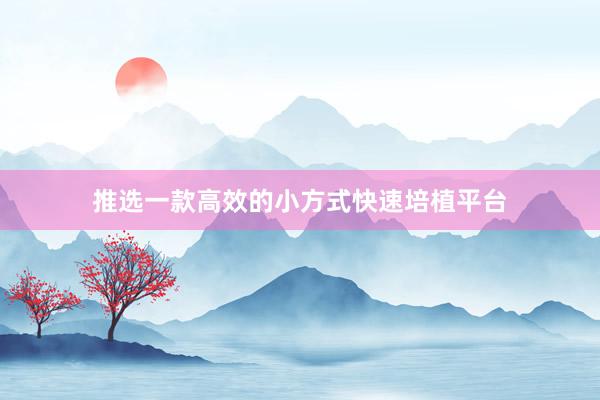 推选一款高效的小方式快速培植平台